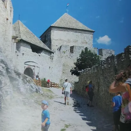 Tulipan Bungalow Camping