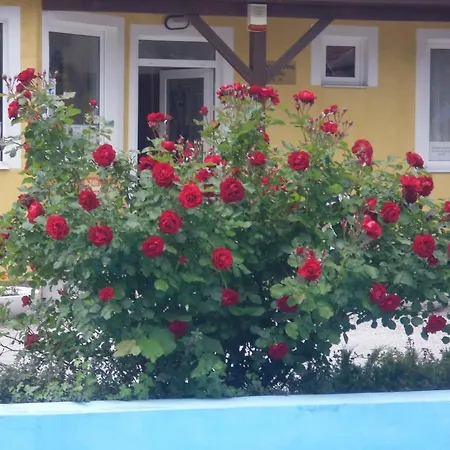 منتزه العطل Tulipan Bungalow Camping Gyenesdiás