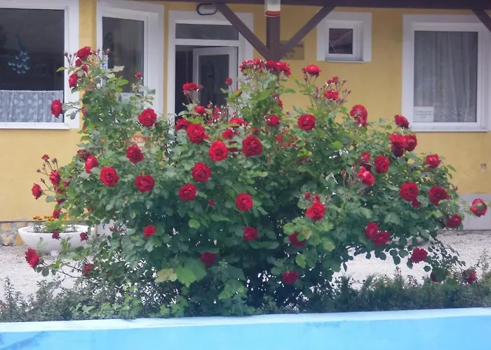 פארק נופש Tulipan Bungalow Camping גיינסדיאס